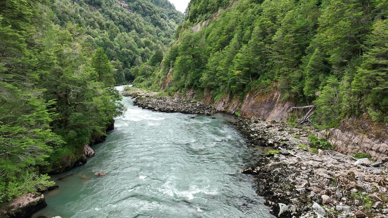 El río Cajón Bravo entre paredes de roca y bosque