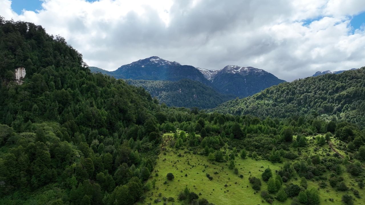 Valle con praderas y cordillera nevada al fondo