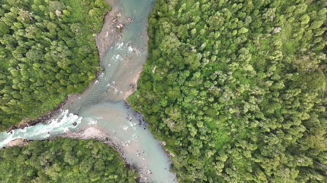 Confluencia de dos brazos de río